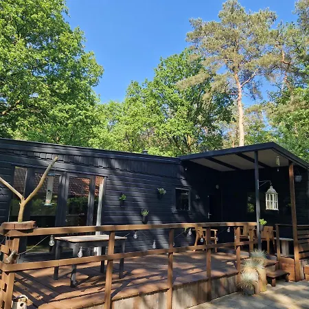 Heerlijk Huisje In Het Bos Op Chaletpark Kempenbos Diessen Exterior photo