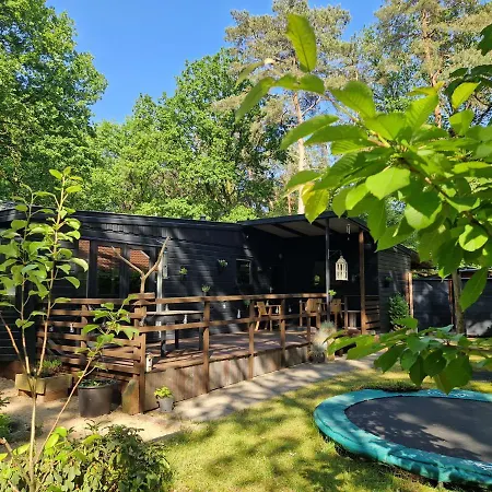 Heerlijk Huisje In Het Bos Op Chaletpark Kempenbos Diessen Exterior photo
