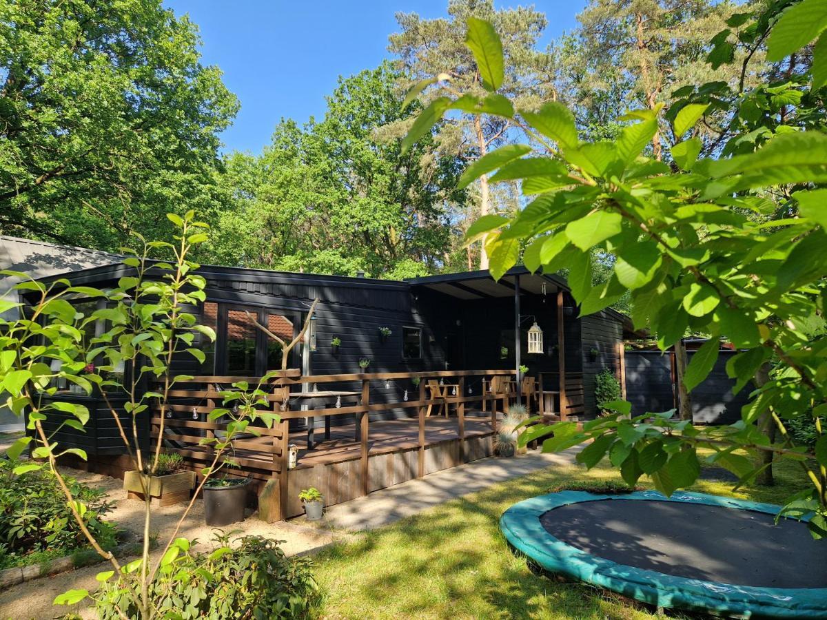 Heerlijk In Het Bos Op Chaletpark Kempenbos Chalet Diessen