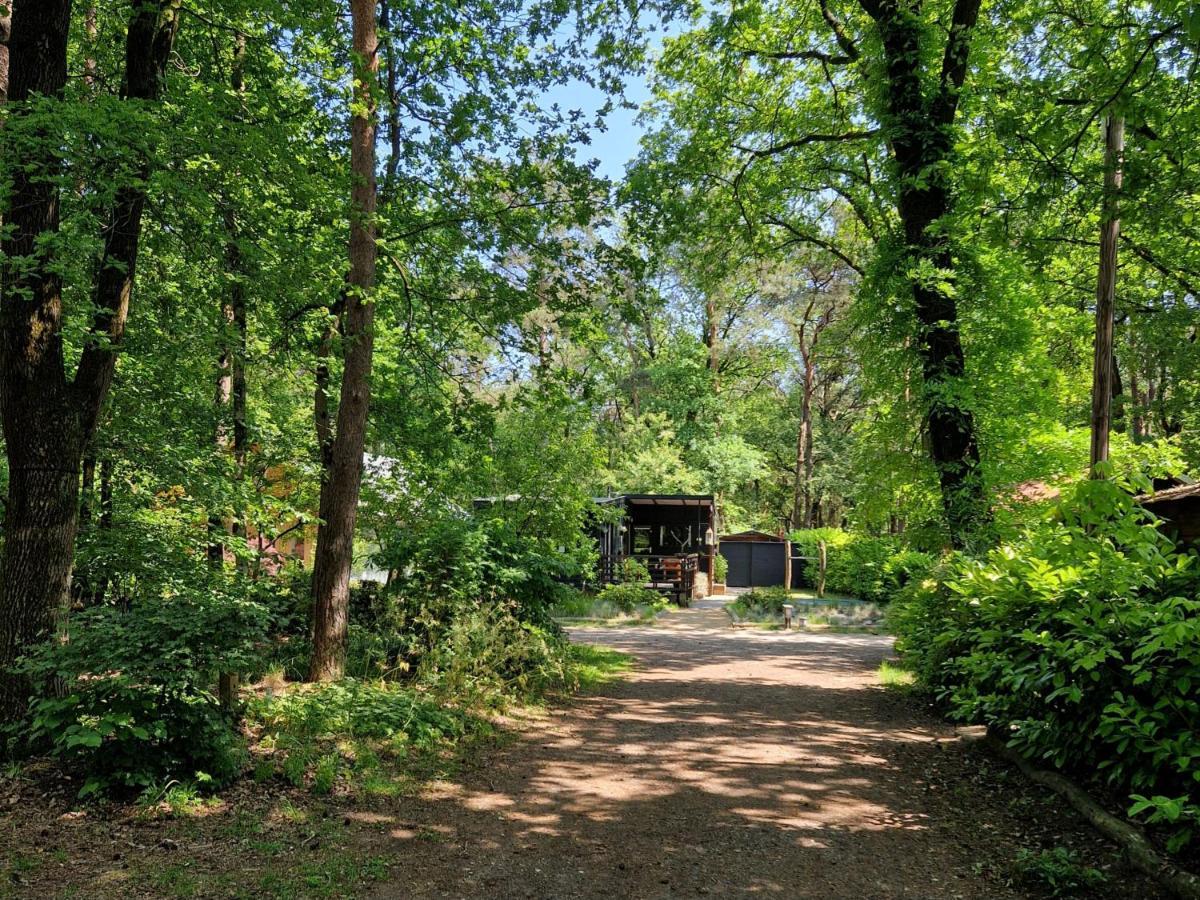 Heerlijk In Het Bos Op Chaletpark Kempenbos Chalet Diessen